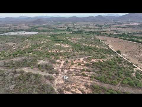 Previsualización del video