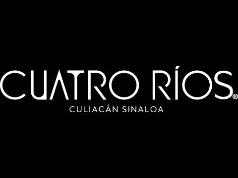 Previsualización de video