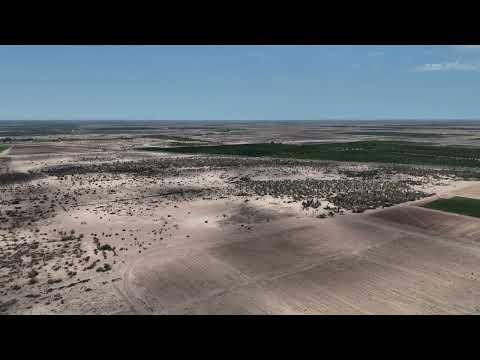 Previsualización del video