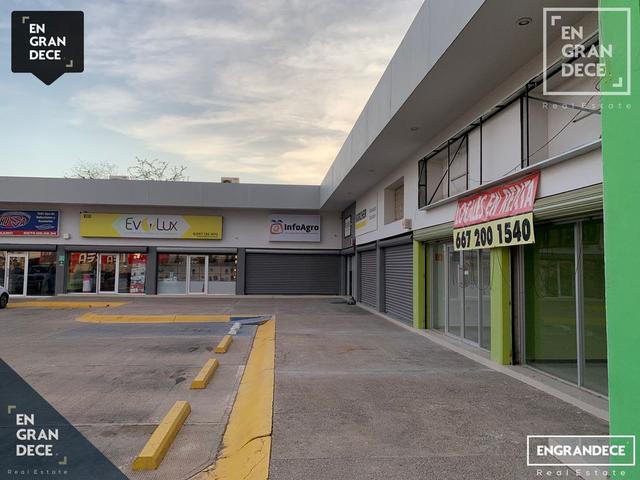 Foto de la galeria de imagenes