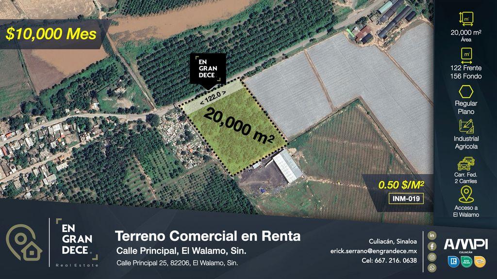 Foto de la galeria de imagenes