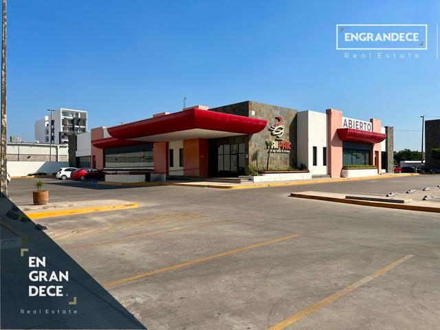Foto de la galeria de imagenes