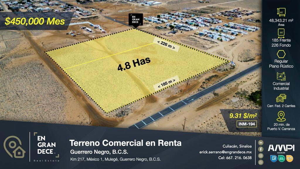 Foto de la galeria de imagenes