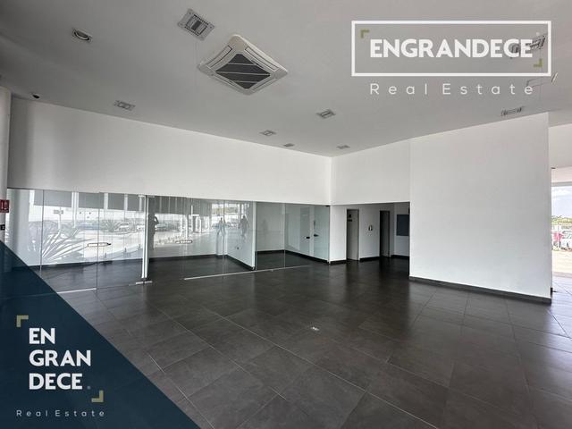Foto de la galeria de imagenes