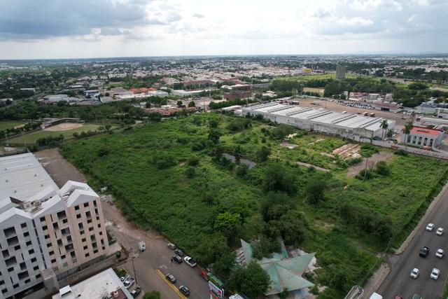 Foto de la galeria de imagenes
