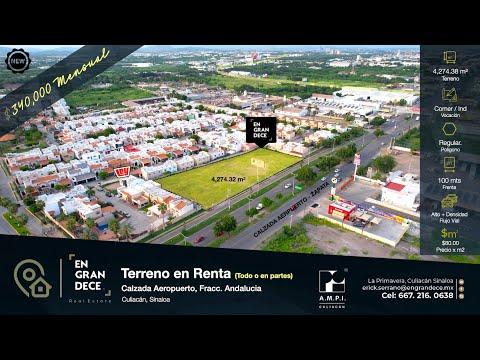 Previsualización de video
