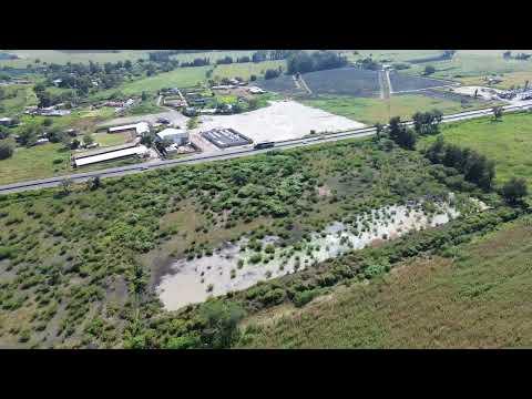 Previsualización del video