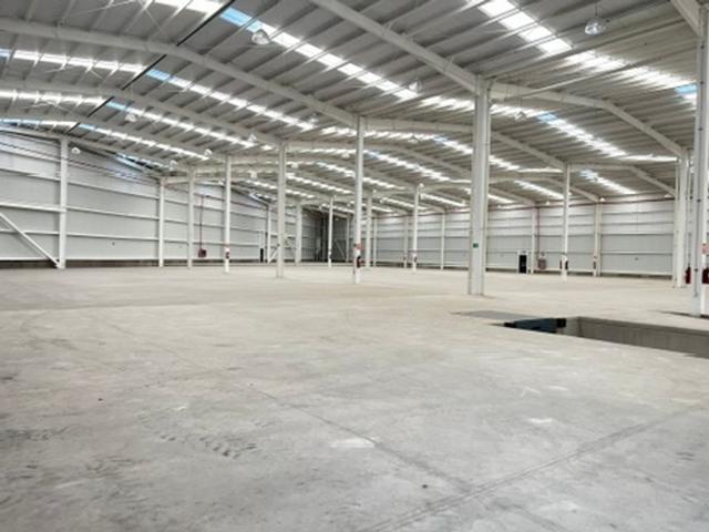 Foto de la galeria de imagenes