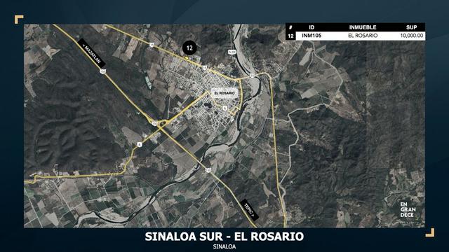 Foto de la galeria de imagenes