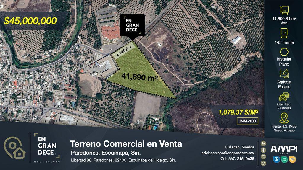 Foto de la galeria de imagenes