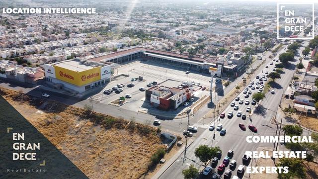 Foto de la galeria de imagenes
