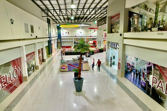 Foto de la galeria de imagenes