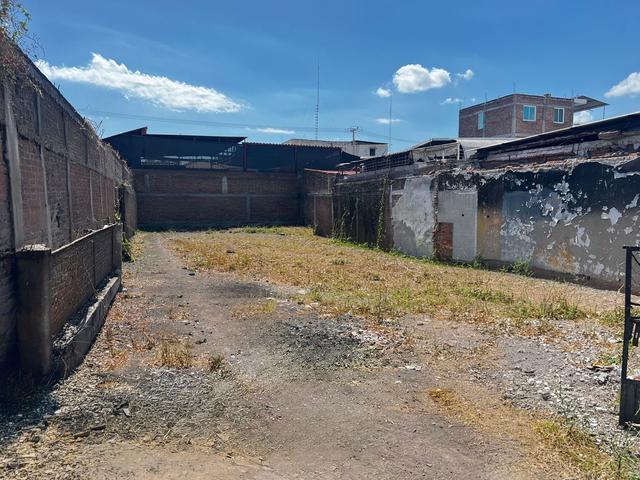 Foto de la galeria de imagenes