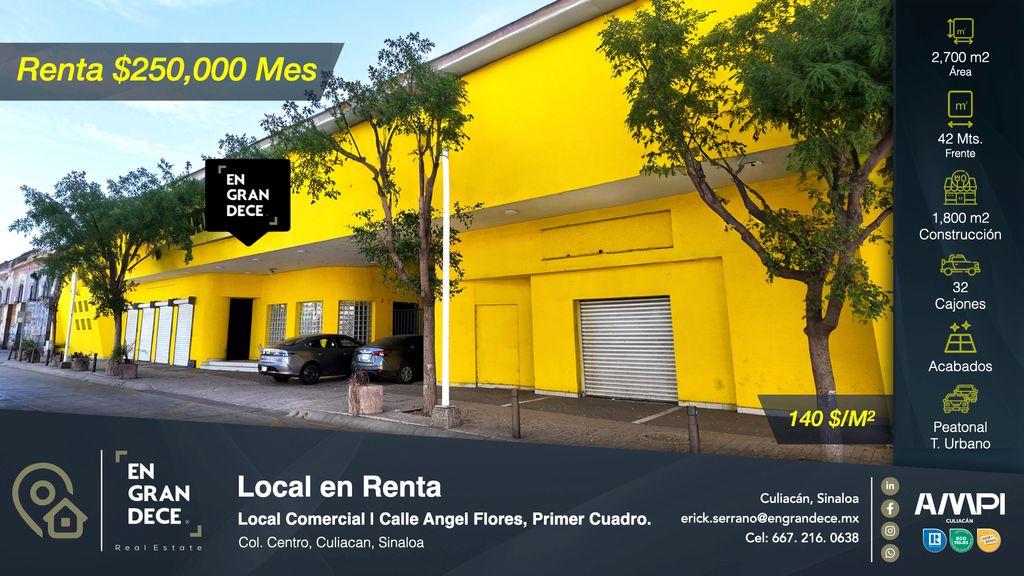 Foto de la galeria de imagenes