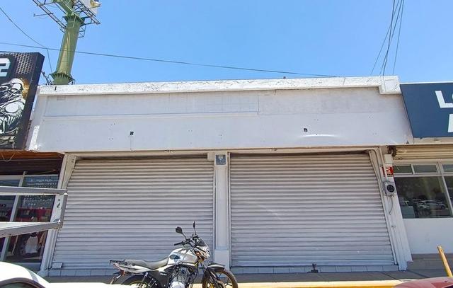 Foto de la galeria de imagenes