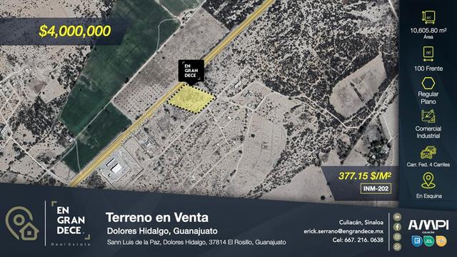 Foto de la galeria de imagenes