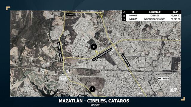Foto de la galeria de imagenes
