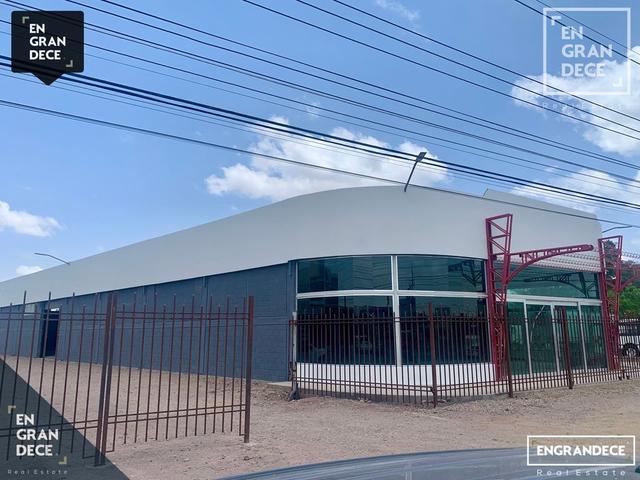 Foto de la galeria de imagenes