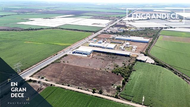 Foto de la galeria de imagenes