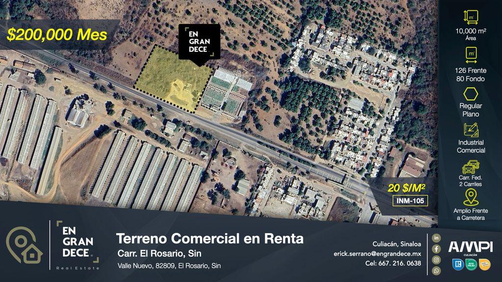 Foto de la galeria de imagenes
